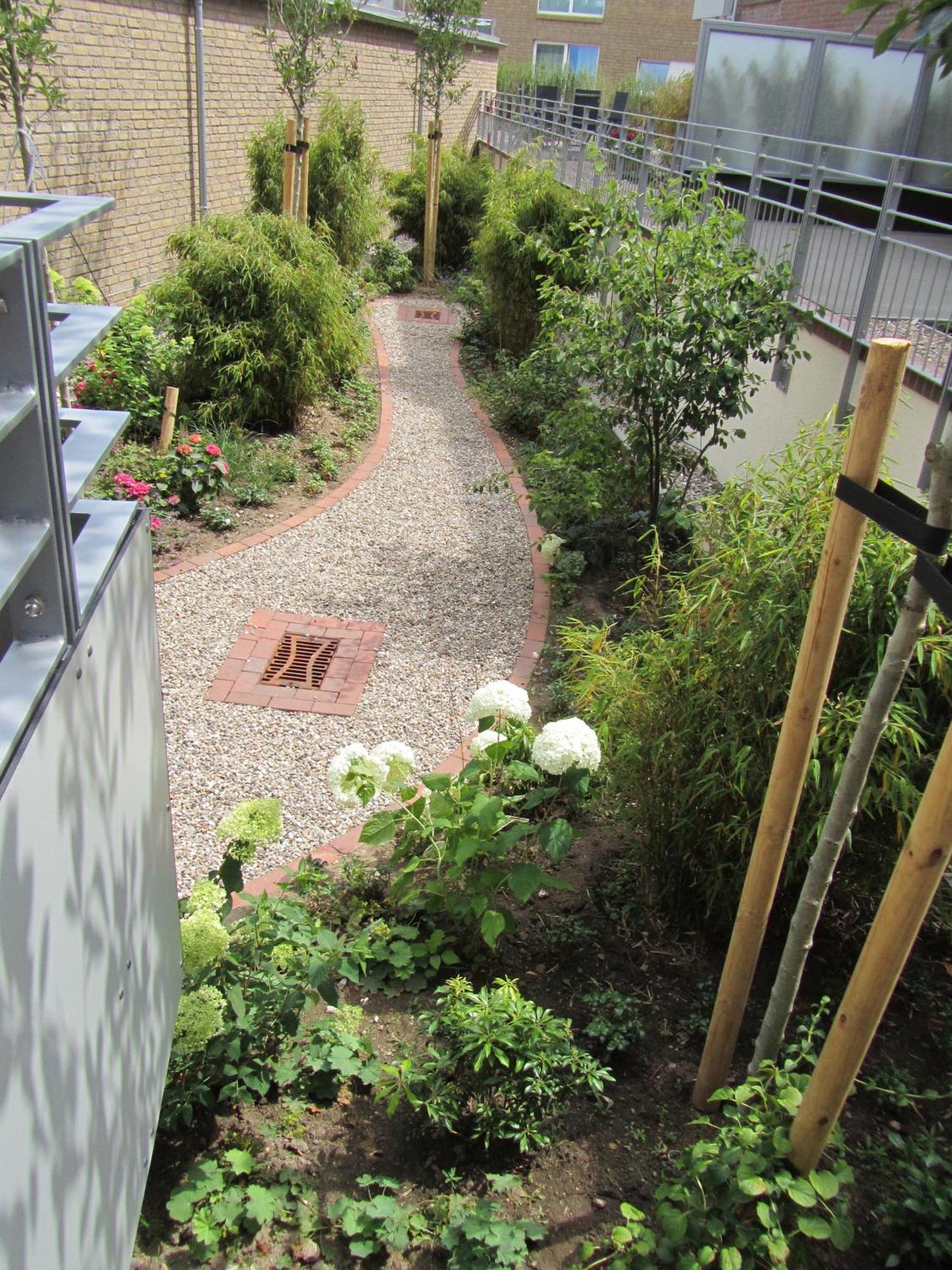 Eckernförde Ferienwohnung "Silbermoewe Ii", Hafenspitze Quartier מראה חיצוני תמונה